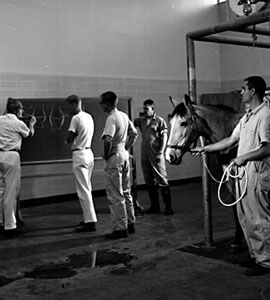 Ansel Adams photograph of large animal clinic
